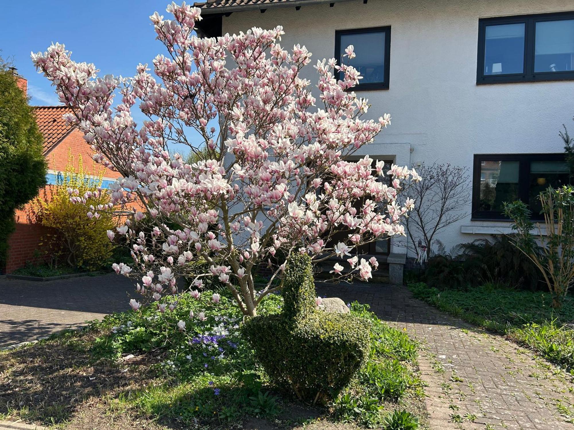 Haus Potosi, Travemünde *